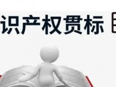 知識產(chǎn)權貫標申請條件、流程、貫標輔導周期一覽