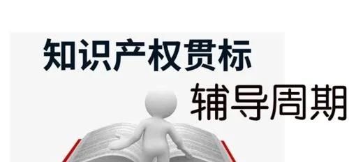 這邊看來！知識產(chǎn)權(quán)貫標(biāo)申請條件、流程、貫標(biāo)輔導(dǎo)周期一覽