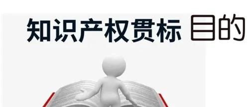 這邊看來！知識產(chǎn)權(quán)貫標(biāo)申請條件、流程、貫標(biāo)輔導(dǎo)周期一覽