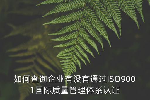 如何查詢企業(yè)有沒(méi)有通過(guò)ISO9001國(guó)際質(zhì)量管理體系認(rèn)證