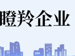 佛山瞪羚企業(yè)認定條件、扶持政策最高補貼100萬