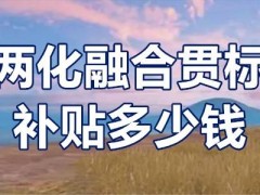 兩化融合貫標(biāo)補(bǔ)貼多少錢？?jī)苫诤县灅?biāo)補(bǔ)貼條件？